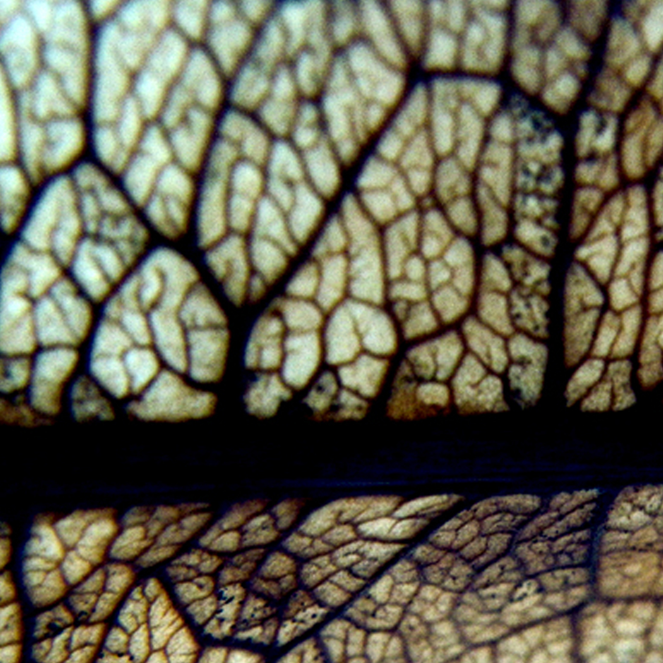 Music For Films Unmade v5.5 artwork