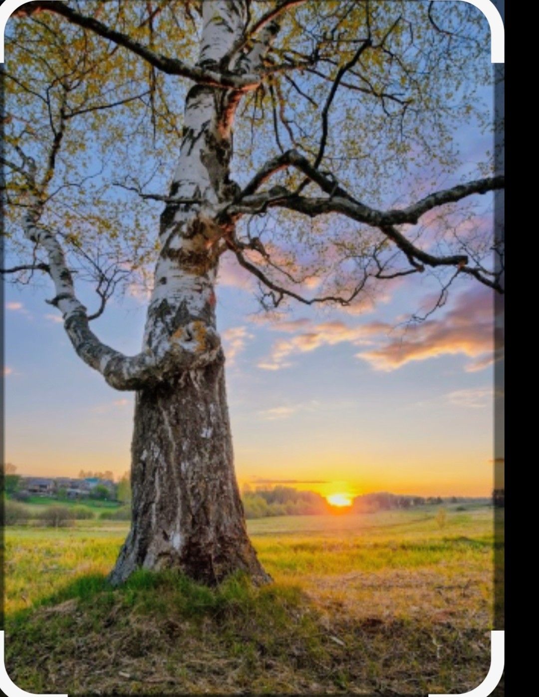 Image for Nostalgie ou nouveau départ 