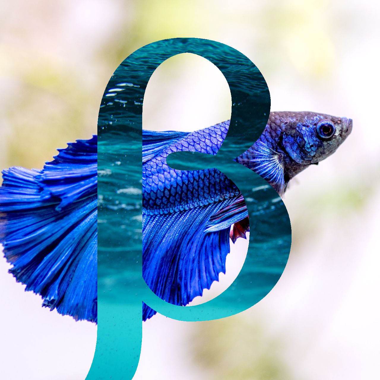 Image for Beta || Single Album