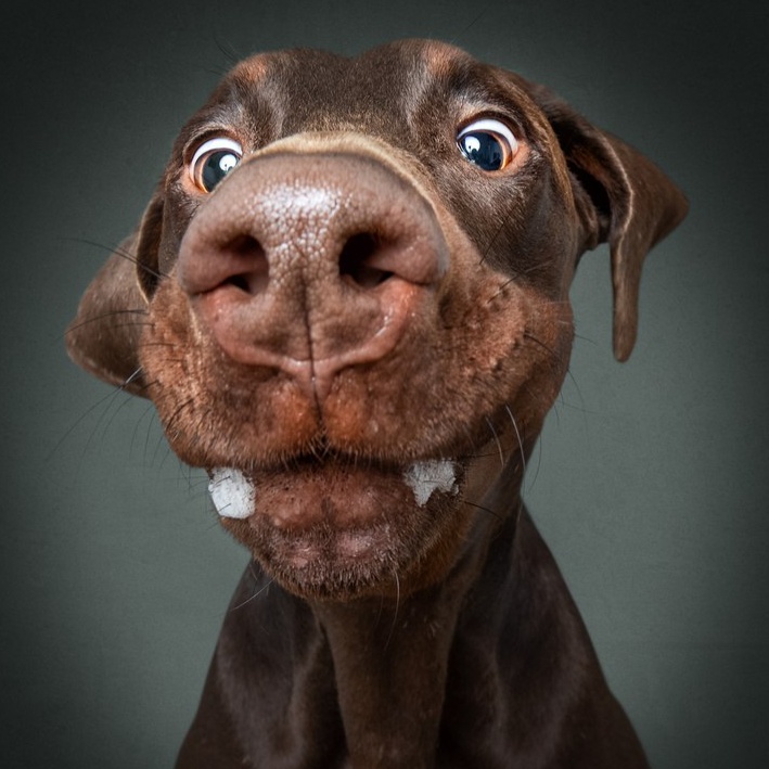 Image for Rap, hip-hop