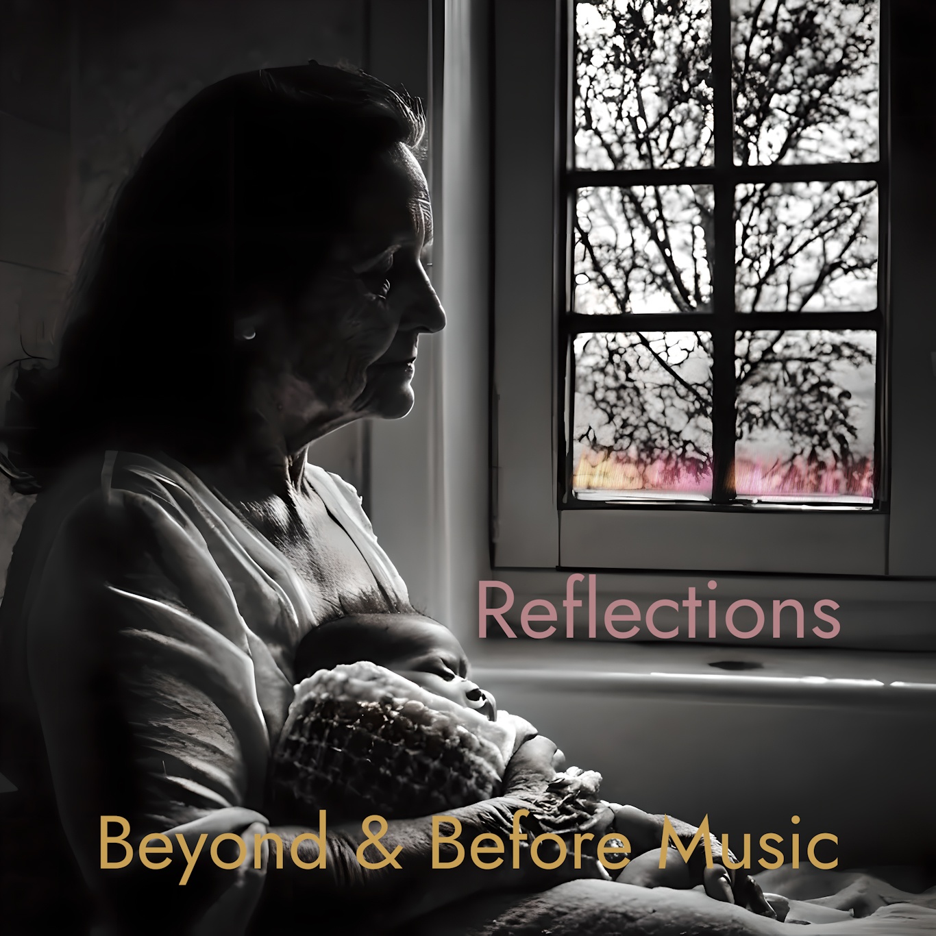 Image for Refelctions (Book Six)