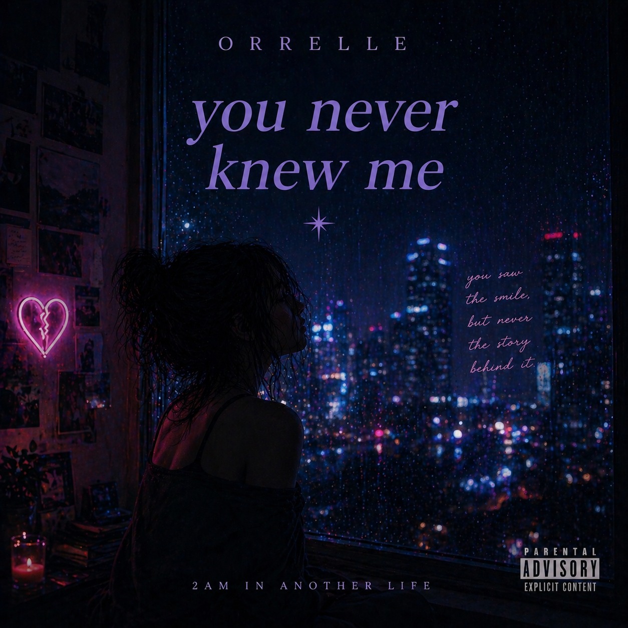 YOU NEVER KNEW ME artwork