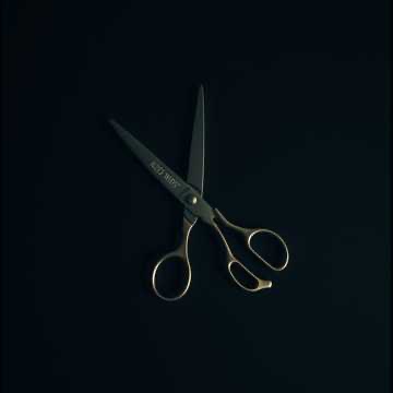 Persona image for Tim Burton