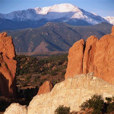 Image for Embrace For Impact