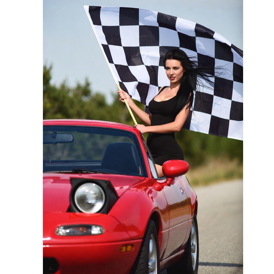Miata Metaphor artwork