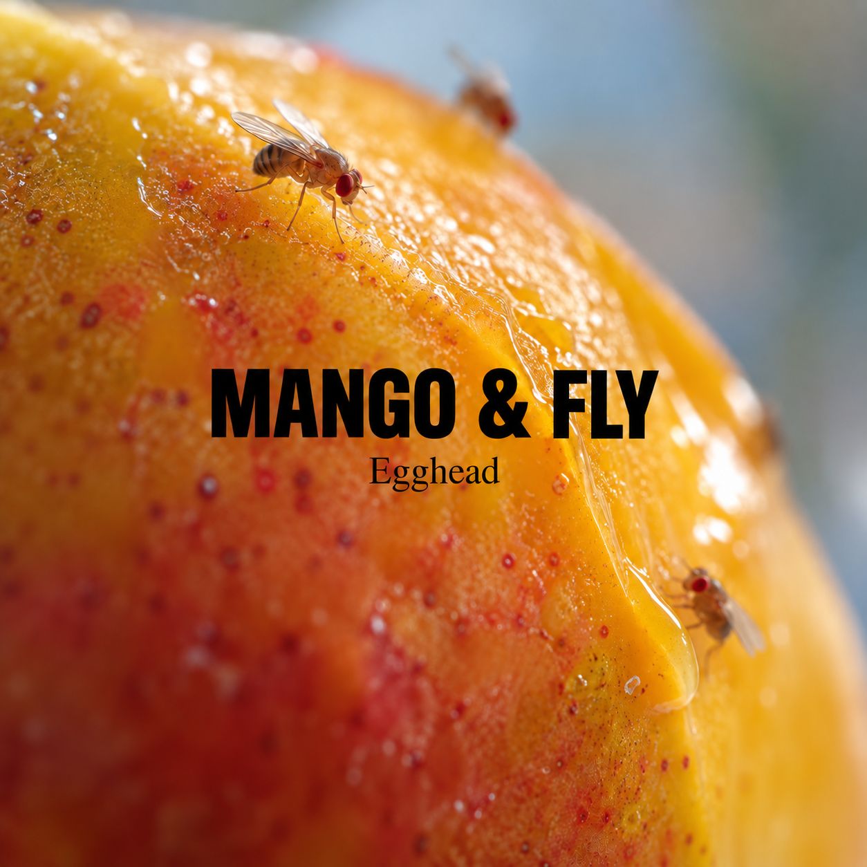 MANGO & FLY artwork