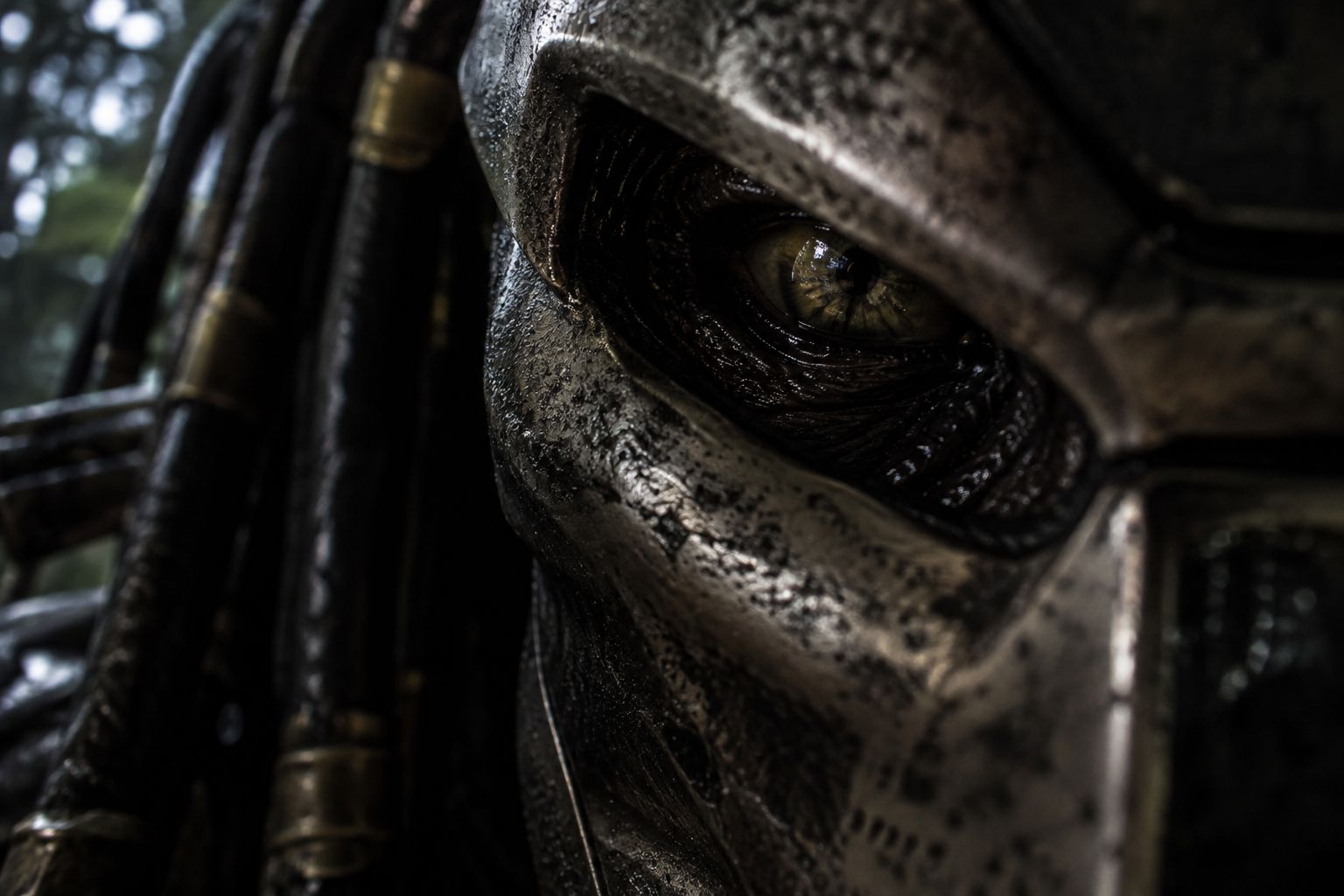 Yautja artwork