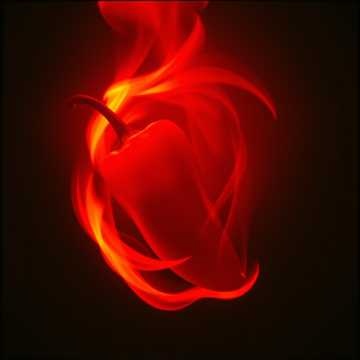 Image for Forbidden Proverbs