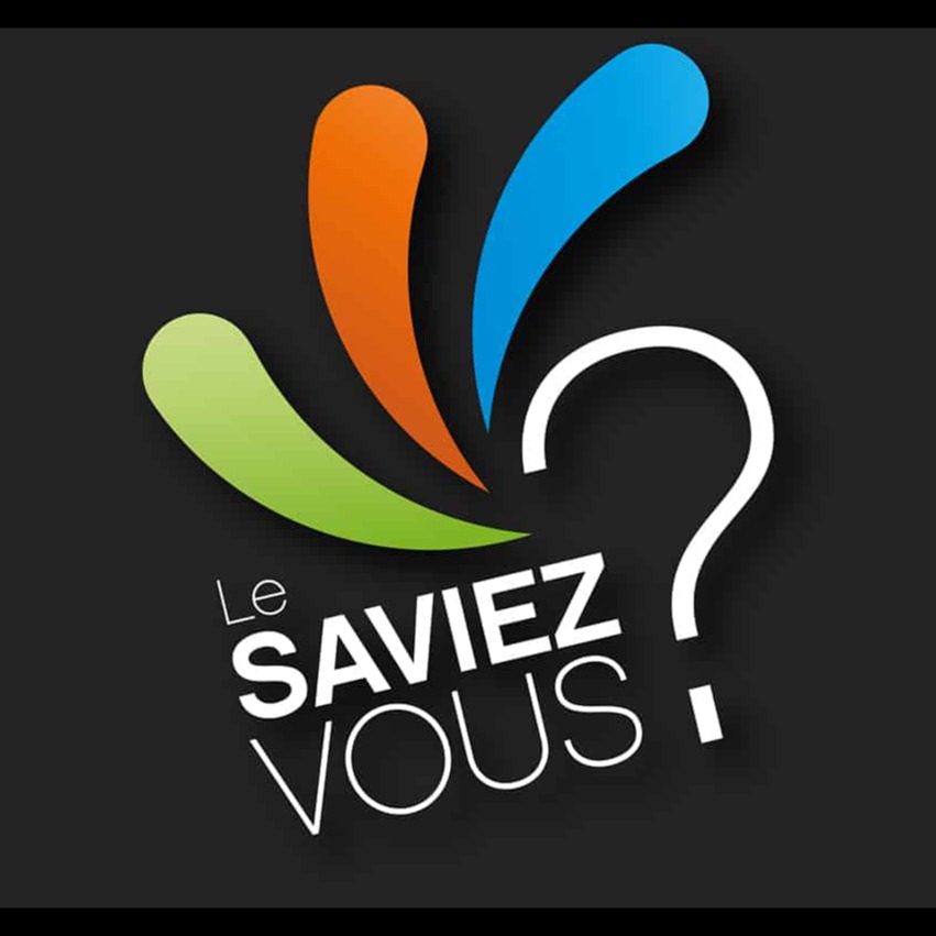 SI VOUS SAVIEZ© artwork