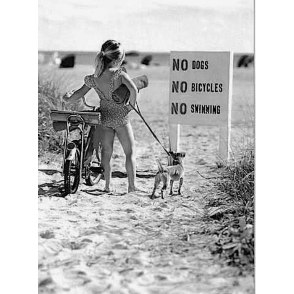 ☣️My Mind☣️ | Suno