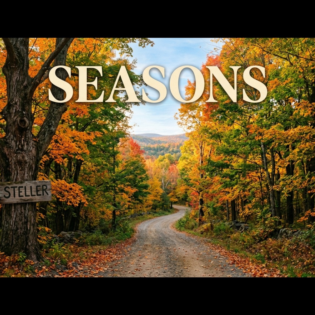 Image for Seasons