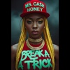 Cover image for Break A Trick