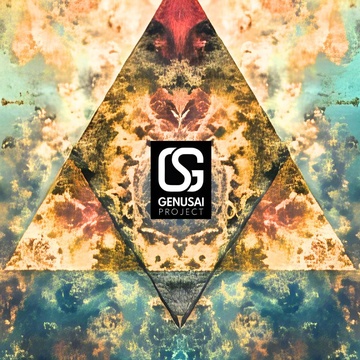 Image for IDM