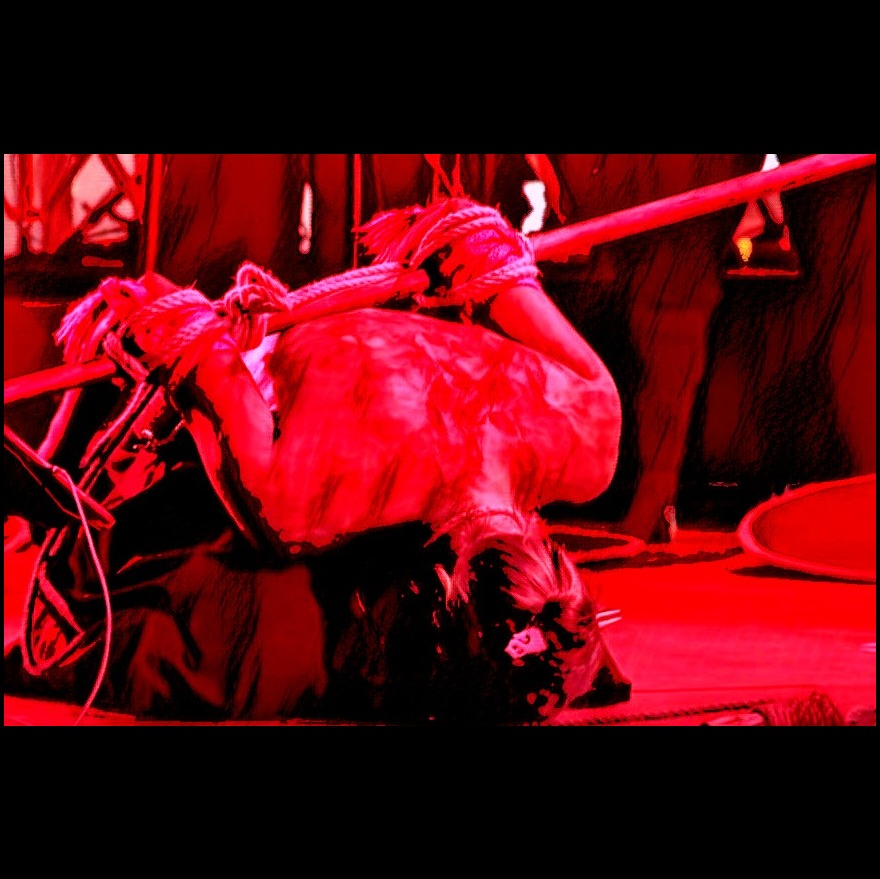 Song Cover Image