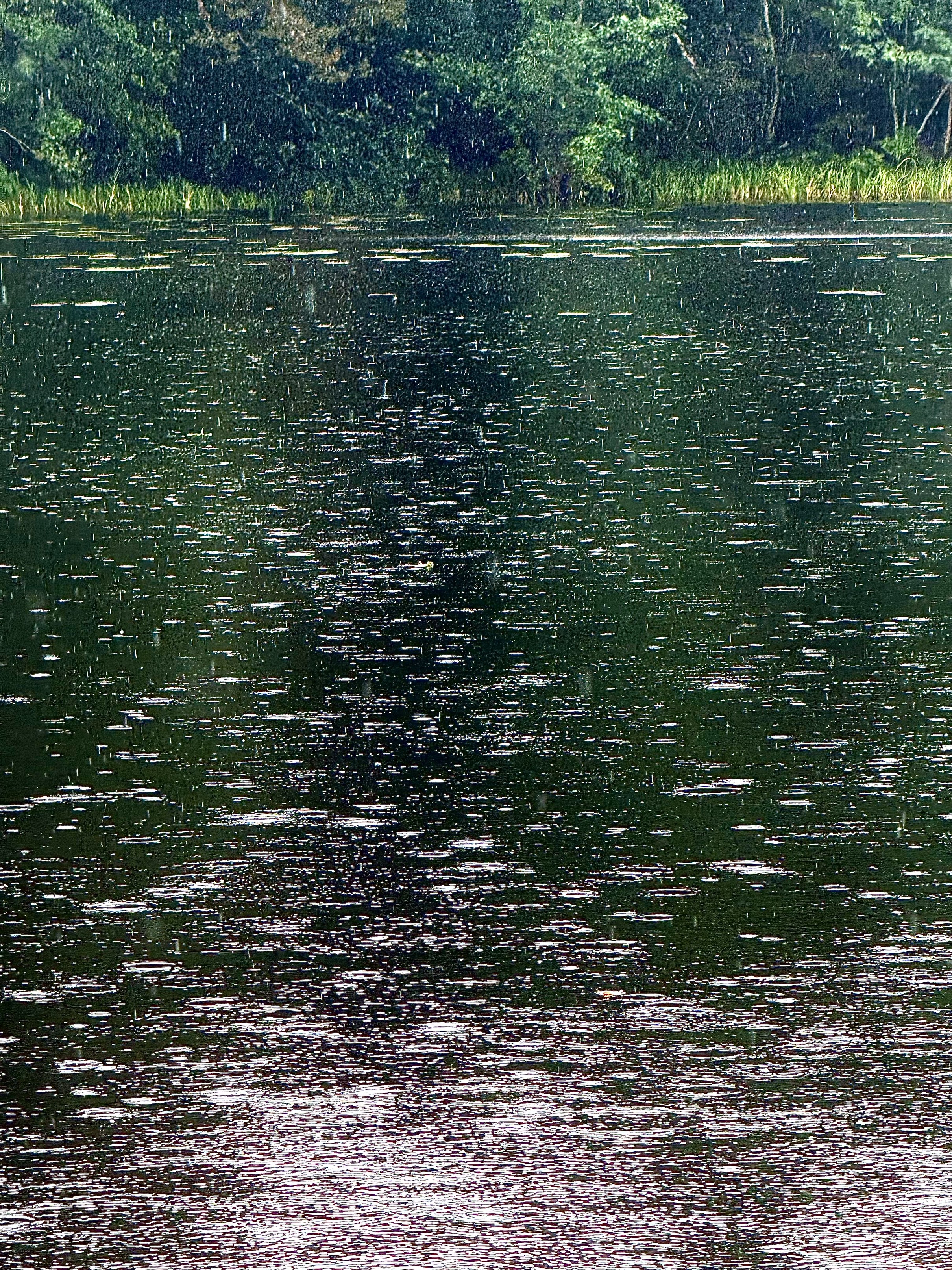 Känna att du väljer mig artwork