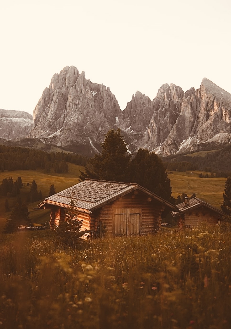 A Home I've Never Seen artwork