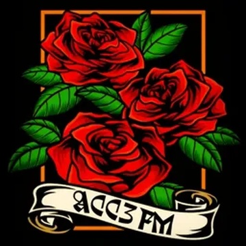 Profile picture for ACC3 FM® Production™