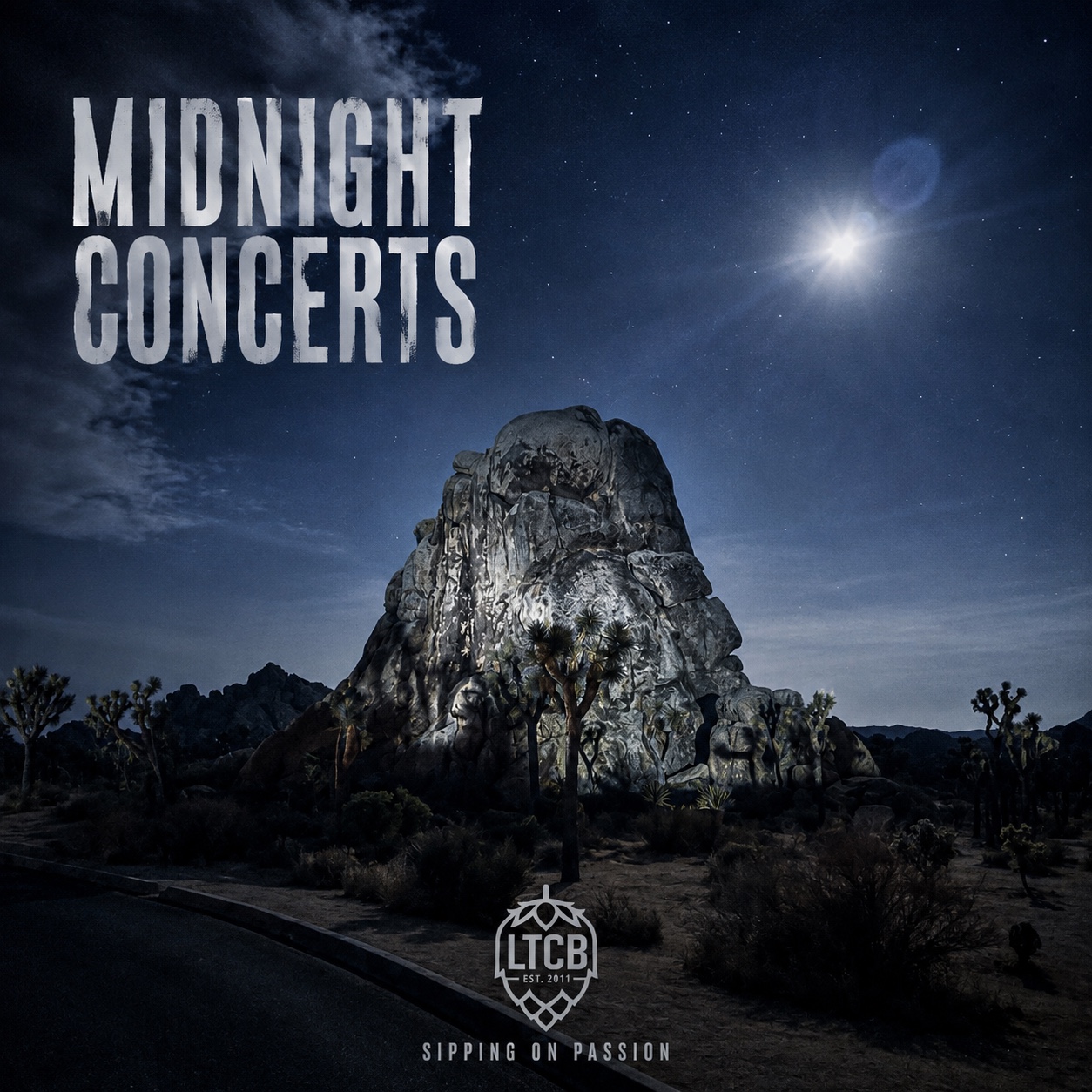 MIDNIGHT CONCERTS artwork