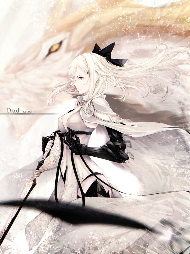inspired by Nier and Drakengard series