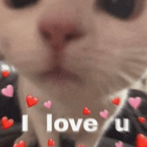 Persona image for Boba x)