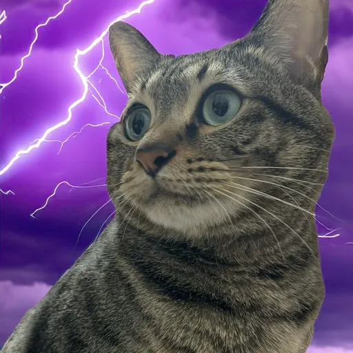 Profile picture for ciaoken1