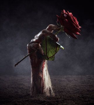 Image for The DV Files (EP)