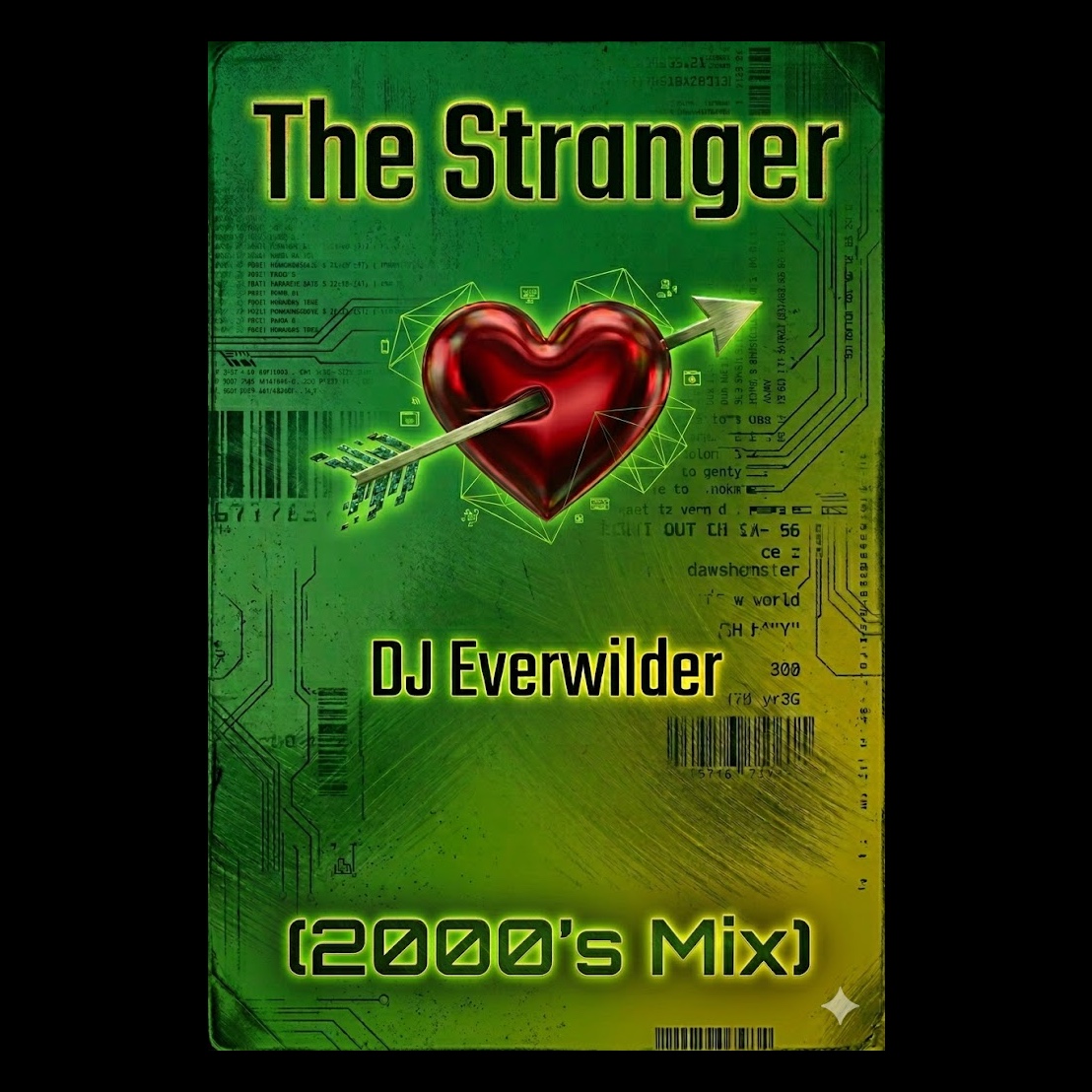 The Stranger (Aughts Mix) artwork