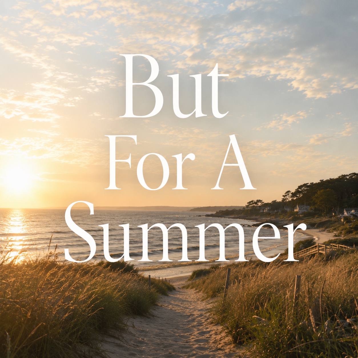 But For A Summer