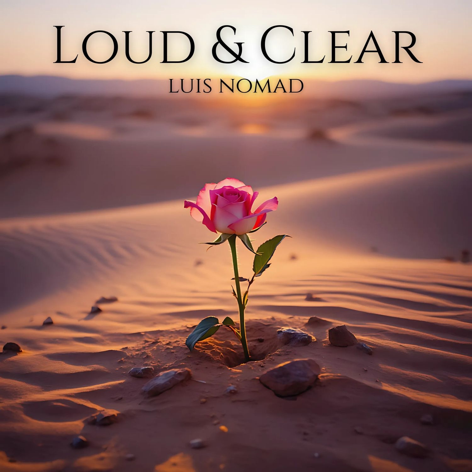 Image for Loud & Clear: The Singles