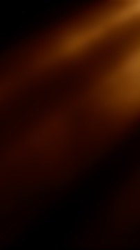 Image for Nothing Is Real, No Future