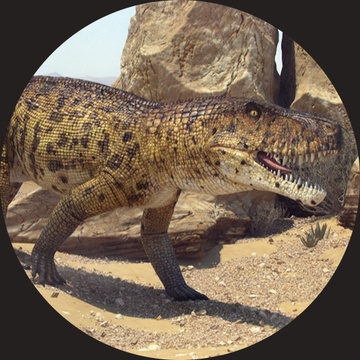 Image for Paleo-raps: Volume 3