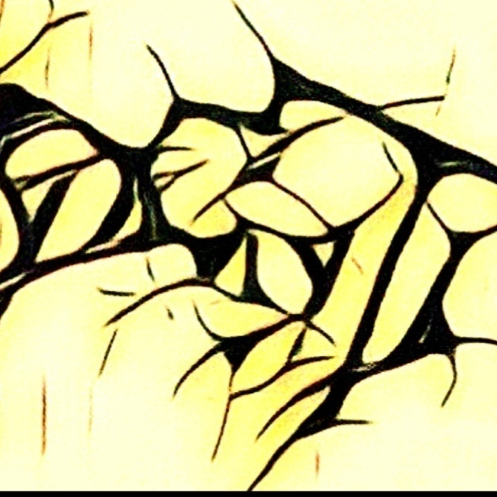 Image for Блять Vol. Один