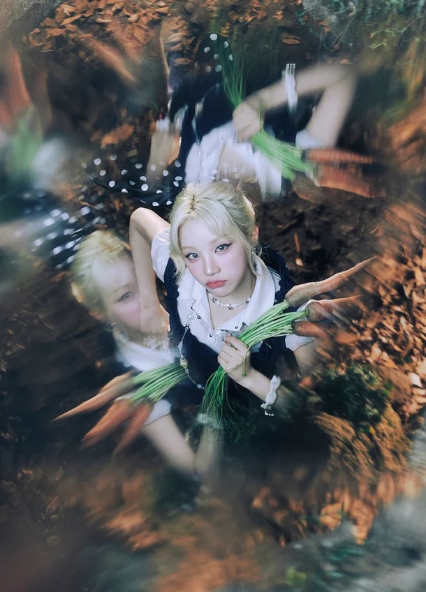 WONDERLAND artwork