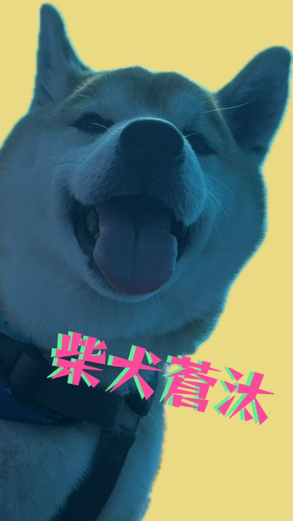 Image for お犬さま、お猫さま