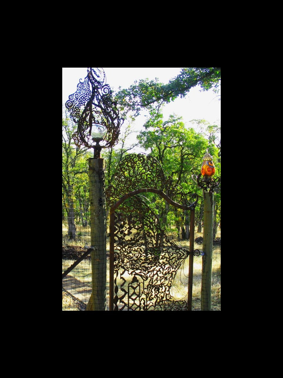 Dandelion at Dawn  (1) artwork