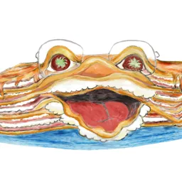 Profile picture for LaughingLasagna