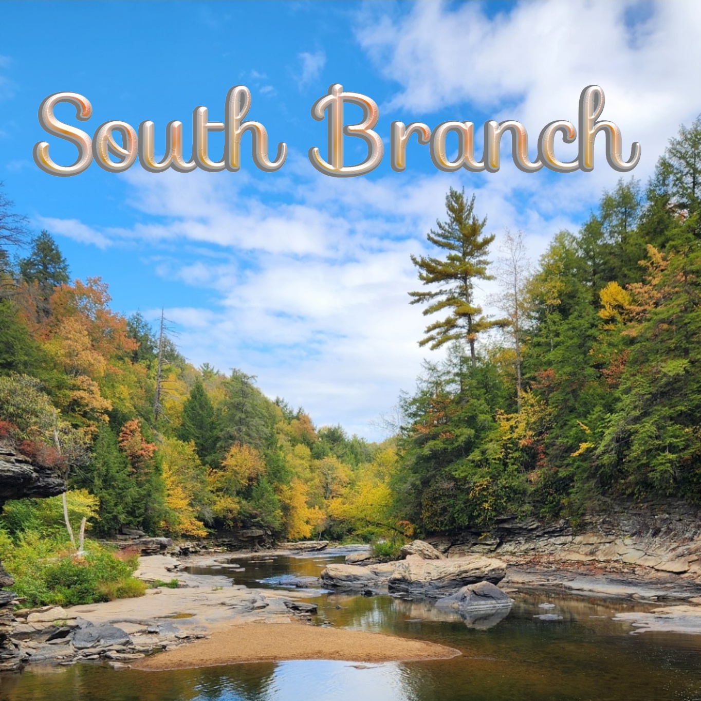 Image for South Branch
