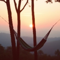 Image for Some Thoughts