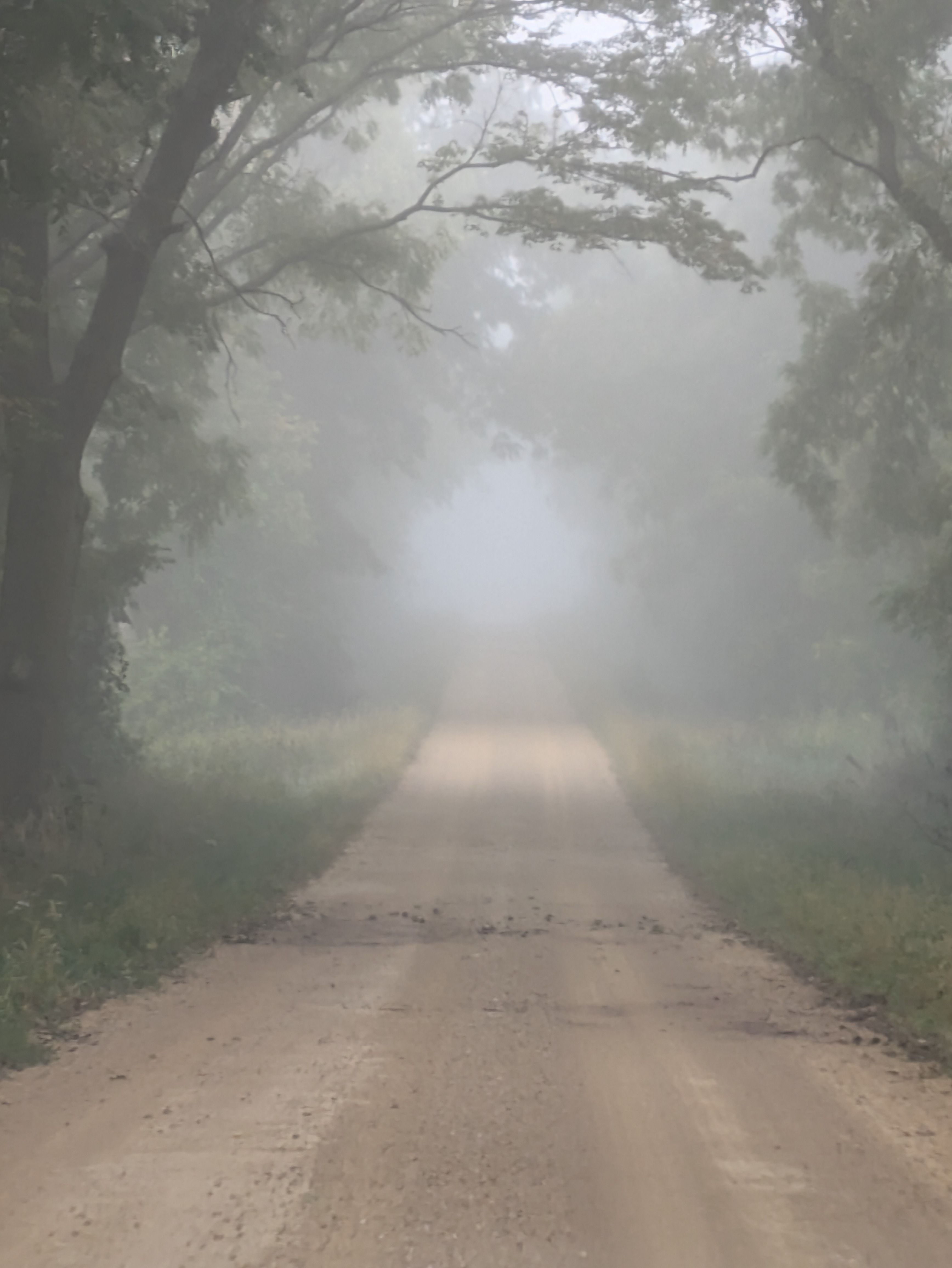 Image for Soul Songs