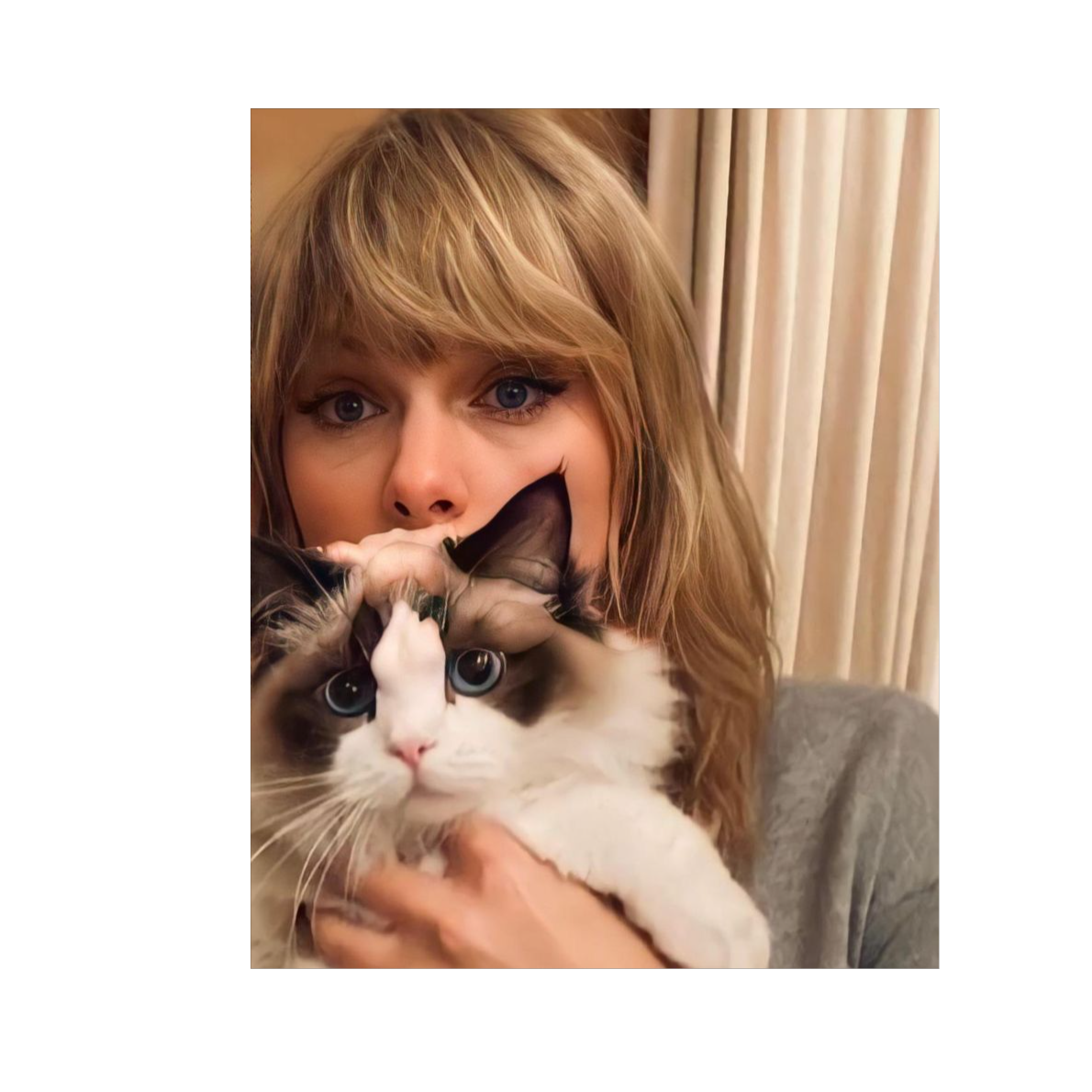 About Tay Tay's Life And Her 3 Cats artwork