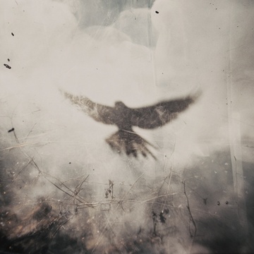 Playlist cover art