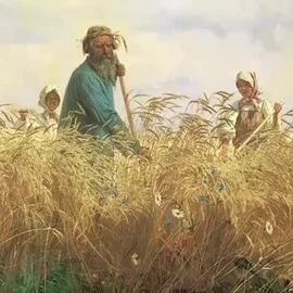 Не шуми, рожь artwork