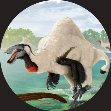 Image for Paleo-raps: Volume 2