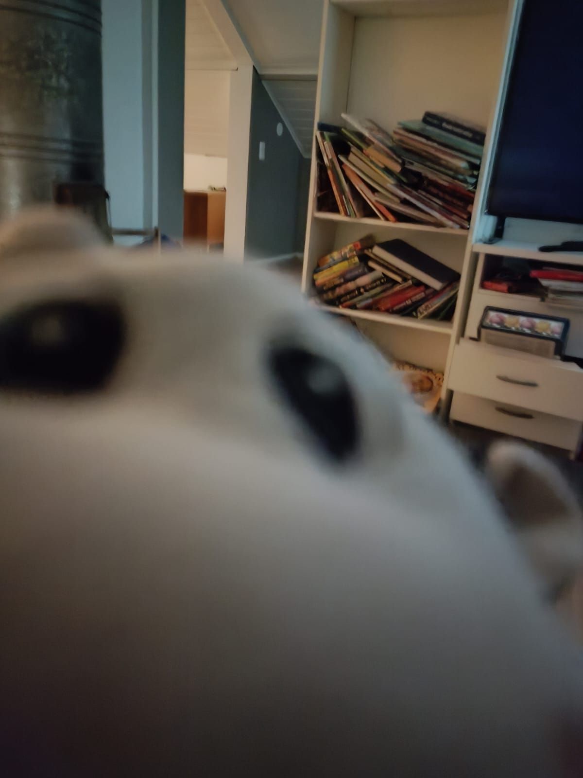 Image for Dis is Myysik