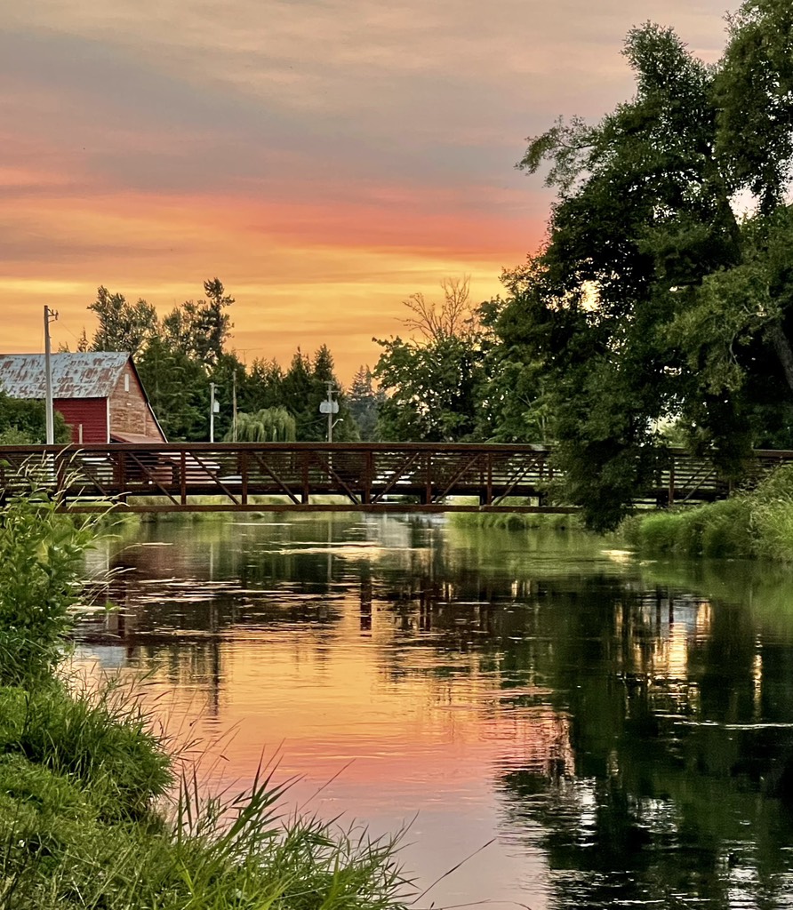 Image for Songs From Dakini Wild