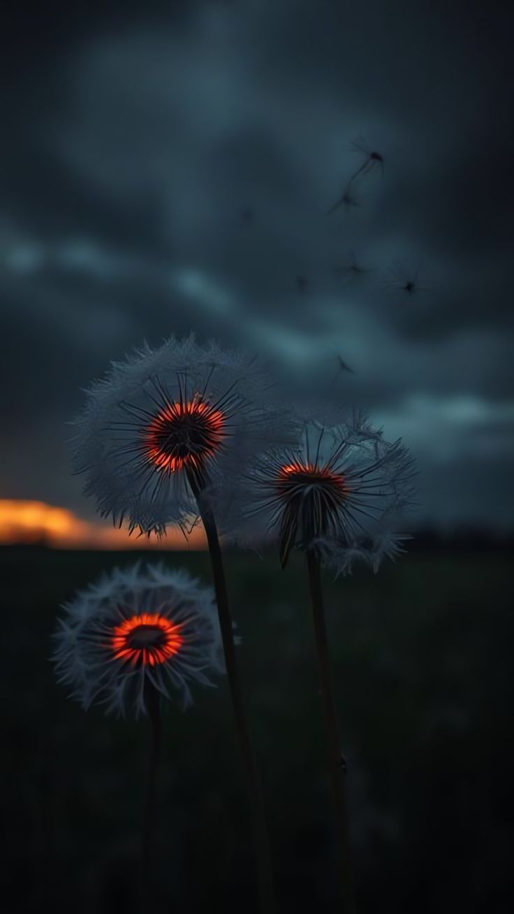 Dance Like the Wind artwork