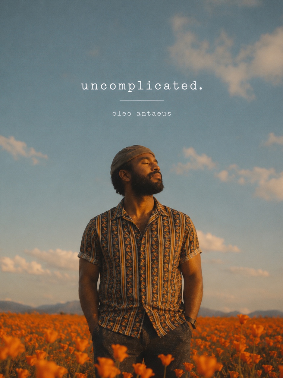 uncomplicated. artwork