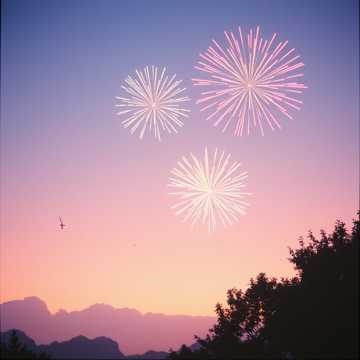 Image for 夏の記憶-summer memories-