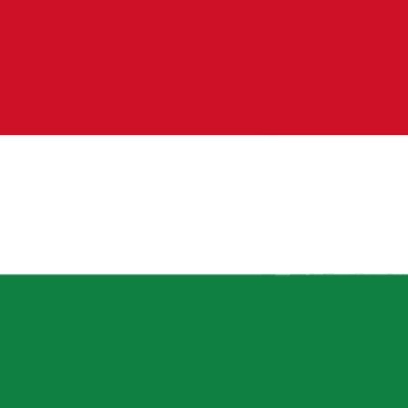 Image for Hungarian speech