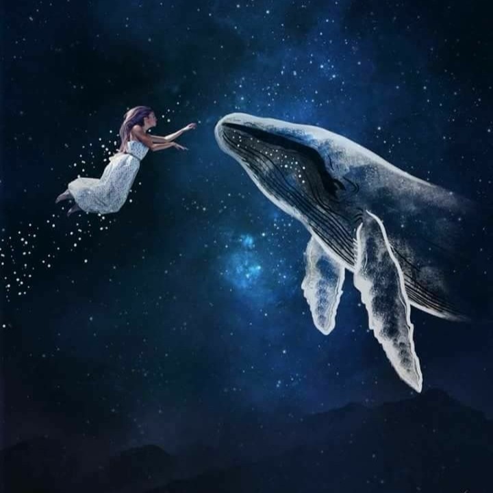 Crysteline tide artwork